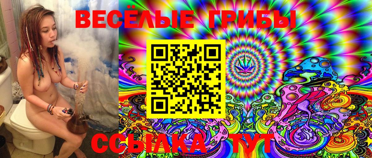 Псилоцибиновые грибы Cubensis  Галлюциногенные грибы Psilocybine cubensis  Армавир  Вход с VPN 