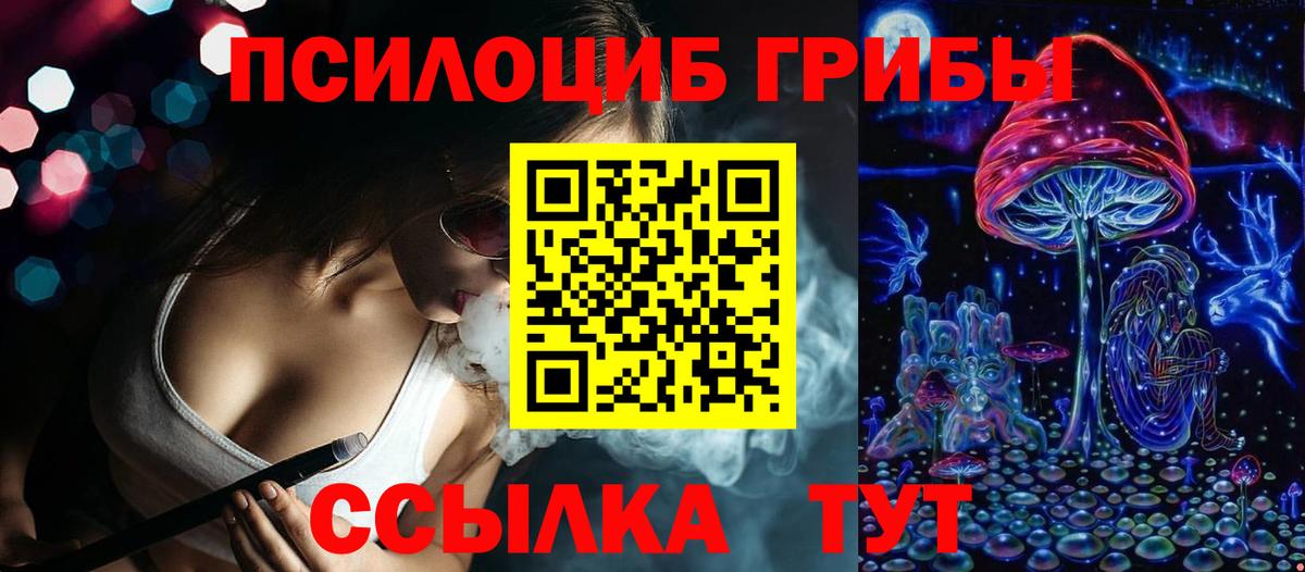 Псилоцибиновые грибы Cubensis Армавир